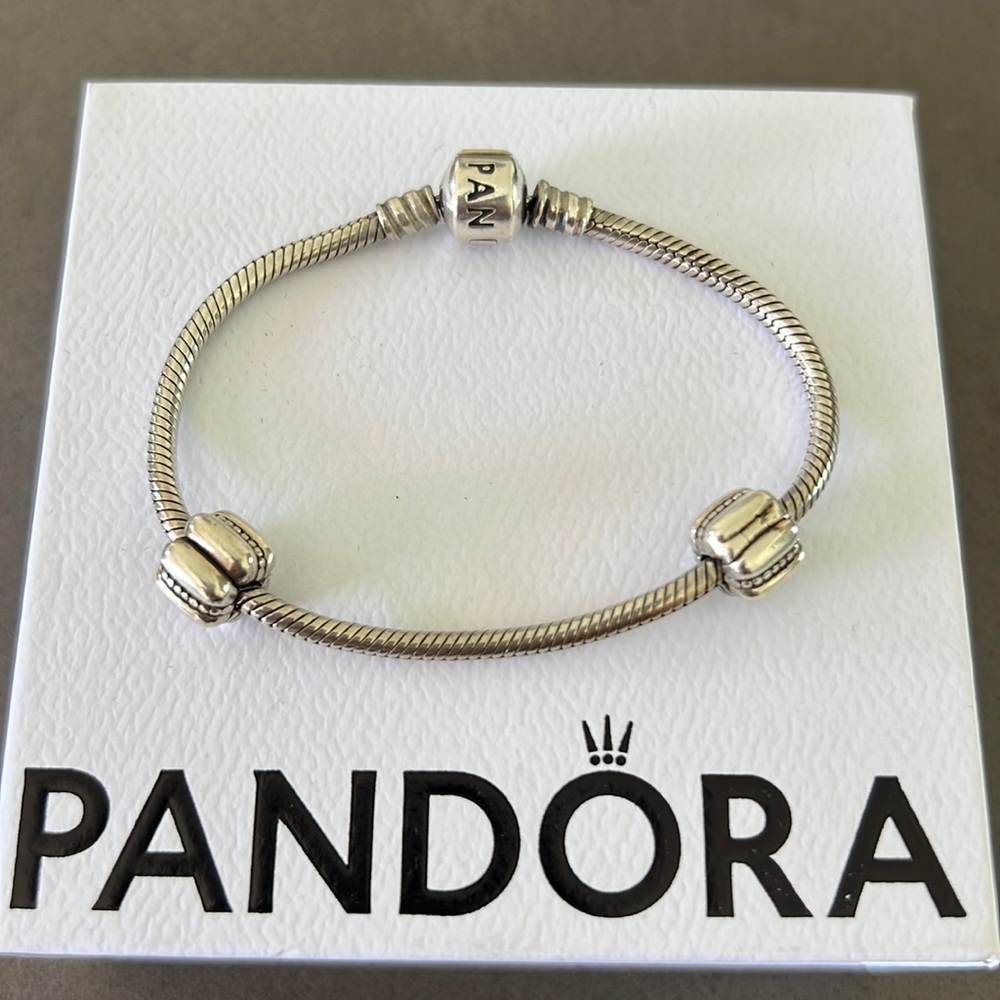 Pandora bracelet with charms